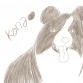 ♥ "Kana" la Border Collie de Inuyi ♥